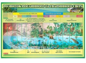 Стенд “Розвиток рослинного та тваринного світу”