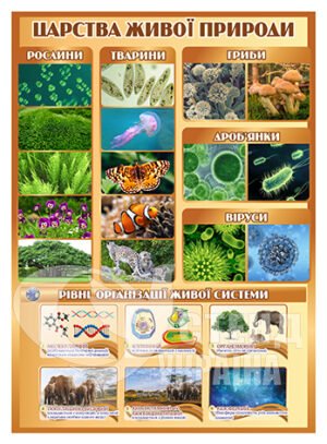 Стенд Царство живої природи