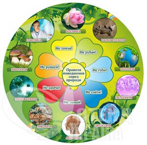 Правила поводження серед природи
