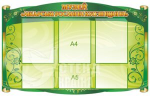 Стенд для музею лікарських рослин