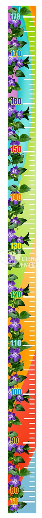 Ростомір «Квітковий»