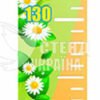 Ростомір «Квітковий» 3717
