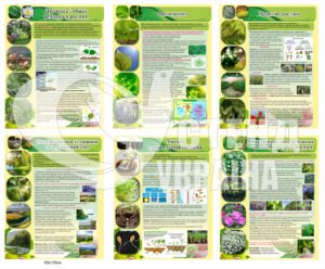 Комплект пластикових стендів з біології