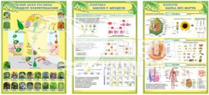 Пластикові стенди для кабінету біології