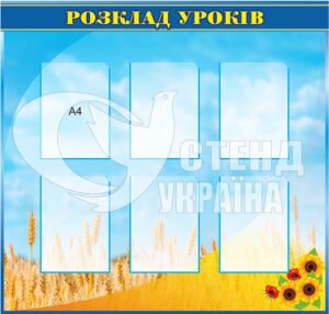 Стенд “Розклад занять” на пластику