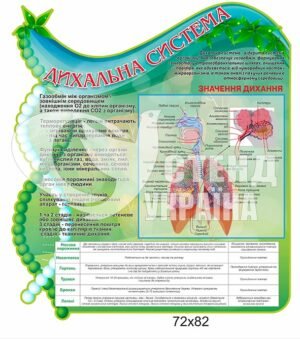 Стенд “Дихальна система”