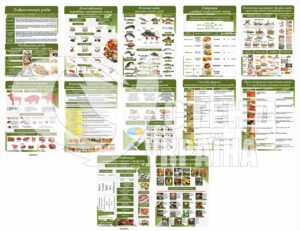 Стенди для кухарів