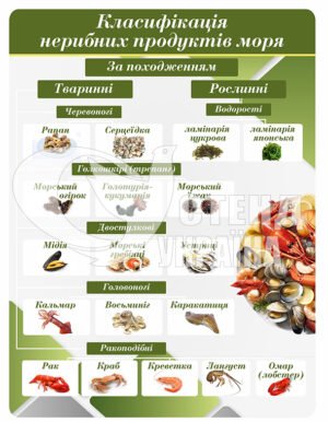 Стенд “Класифікація нерибних продуктів моря”