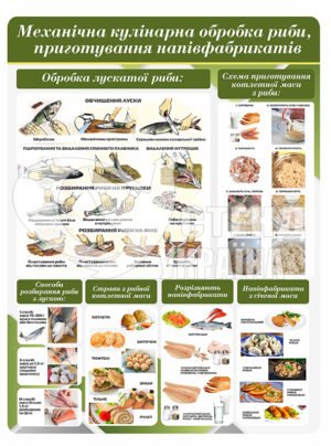 Стенд “Механічна кулінарна обробка риби приготування напівфабрикатів”