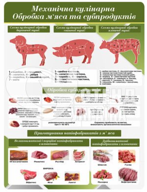 Стенд “Механічна кулінарна обробка м’яса та субпродуктів”
