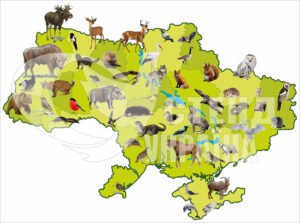 Стенд “Карта тварин України”