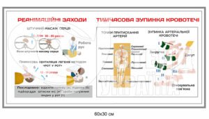 Реанімаційні заходи та тимчасова зупинка кровотечі стенд з пластику