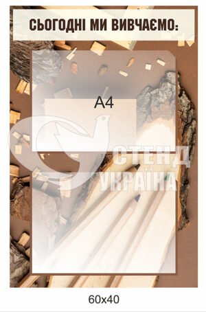 Стенд «Сьогодні ми вивчаємо»