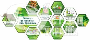 Стенди “Розділи біології”