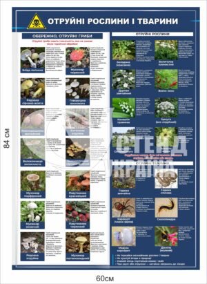 Стенд “Отруйні тварини і рослини України”